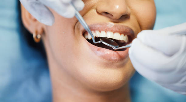 Best Holiday Emergency Dentist in St Paris, OH